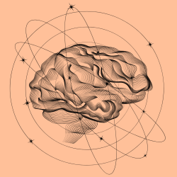 Les émotions. Rôles et définitions