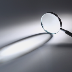 Comment la haute sensibilité s'observe ?