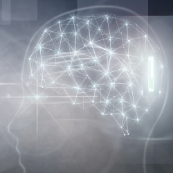 Les atouts du cerveau d'une personne hautement sensible